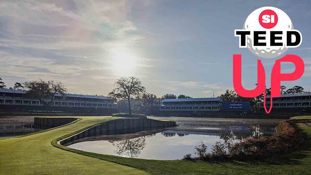 AgriPump A2 便携式农用泵